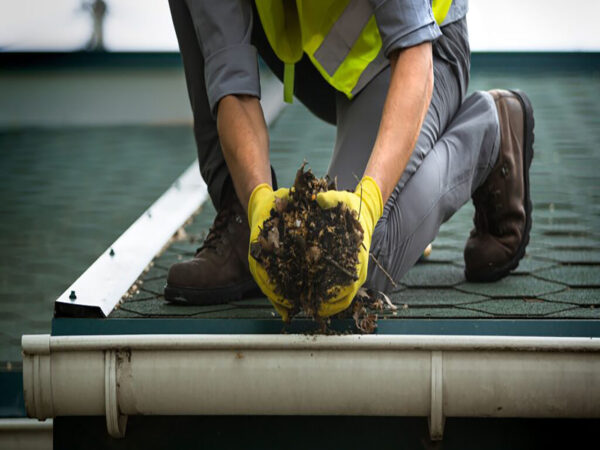 Gutter Cleaning